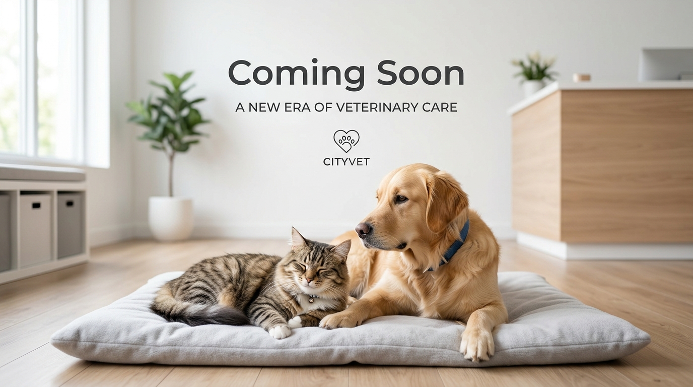 Veterinary Products