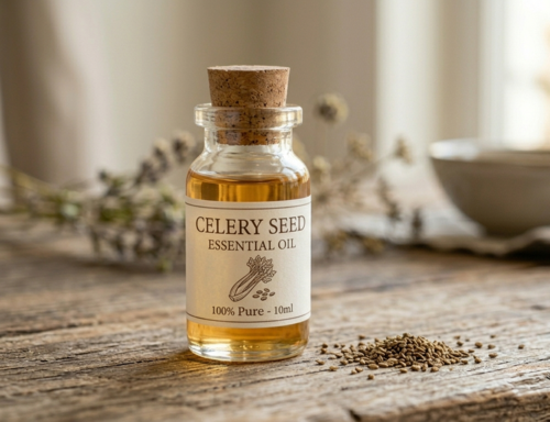 Celery Seed Oil
