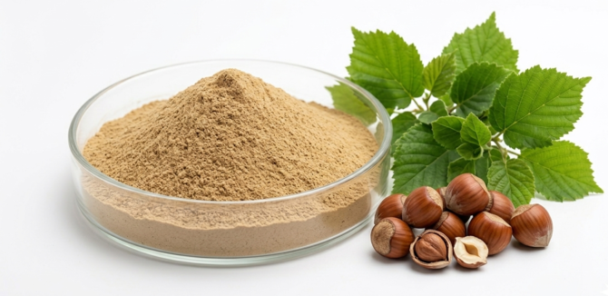 Hazelnut Powder Extract