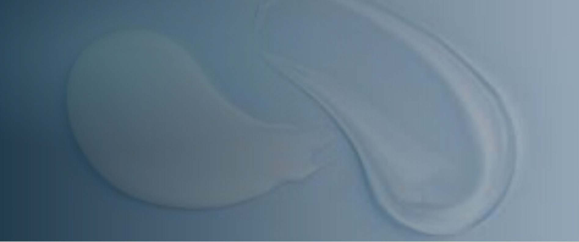 Global Logistics Solutions You Can Trust